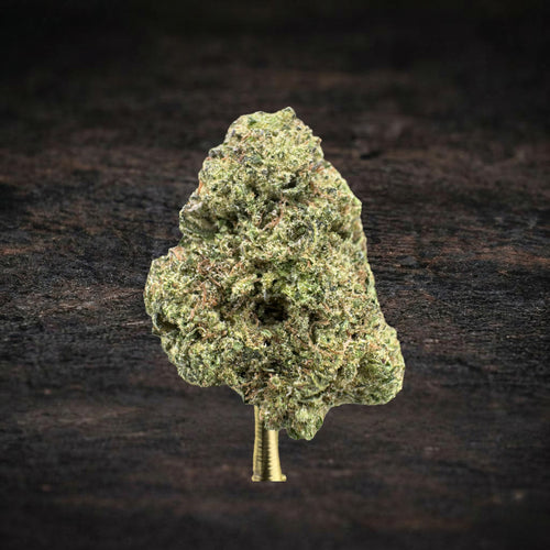 Black Amber indica-dominant hybrid THCA flower bud, Sygil Select tier by SYGIL House