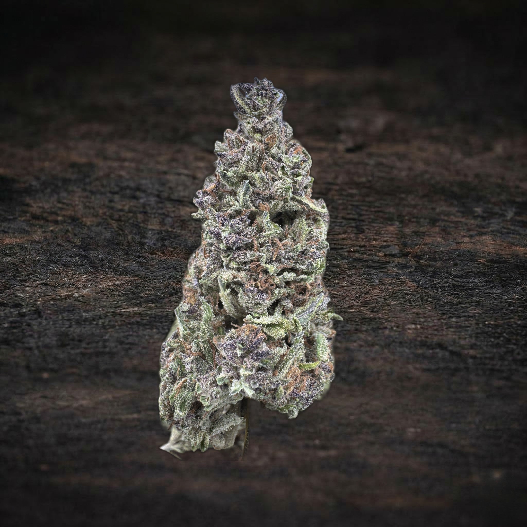 Blue Zushi Sygil Reserve