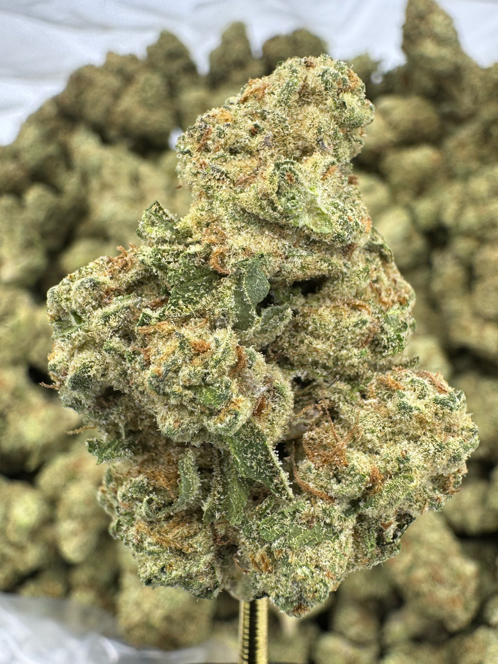 Punch Breath Sygil Select