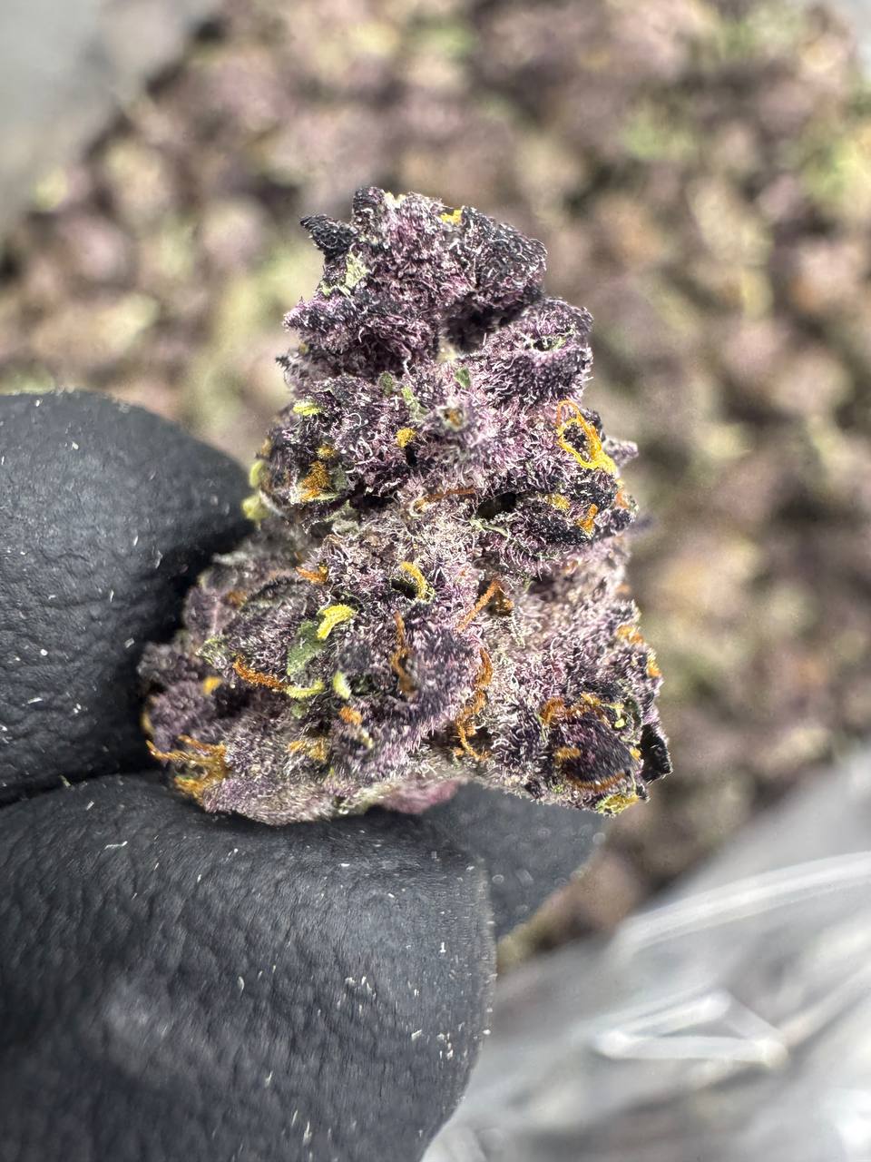 Tropicana Cherry Smalls