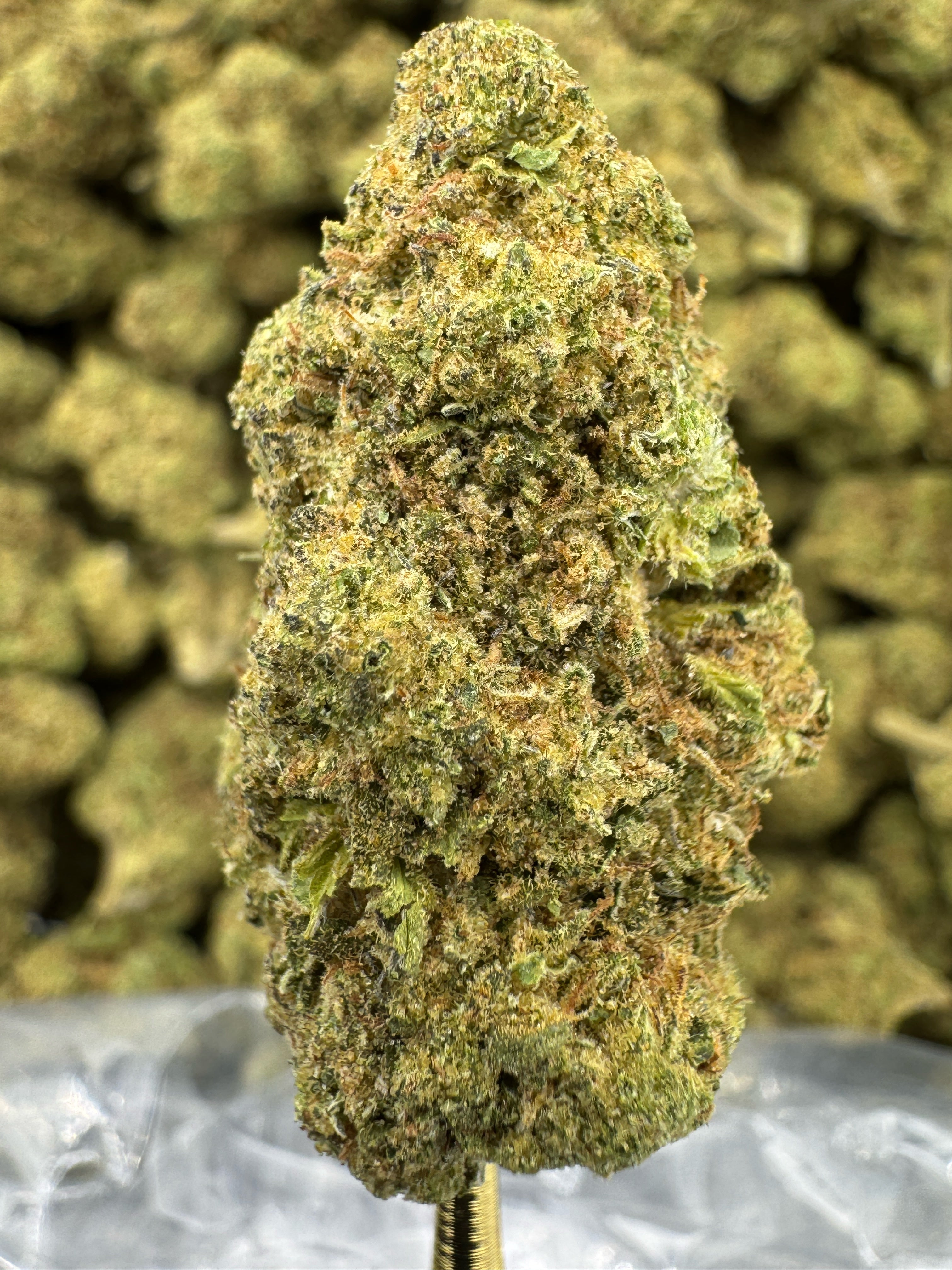 Mule Fuel Sygil Select