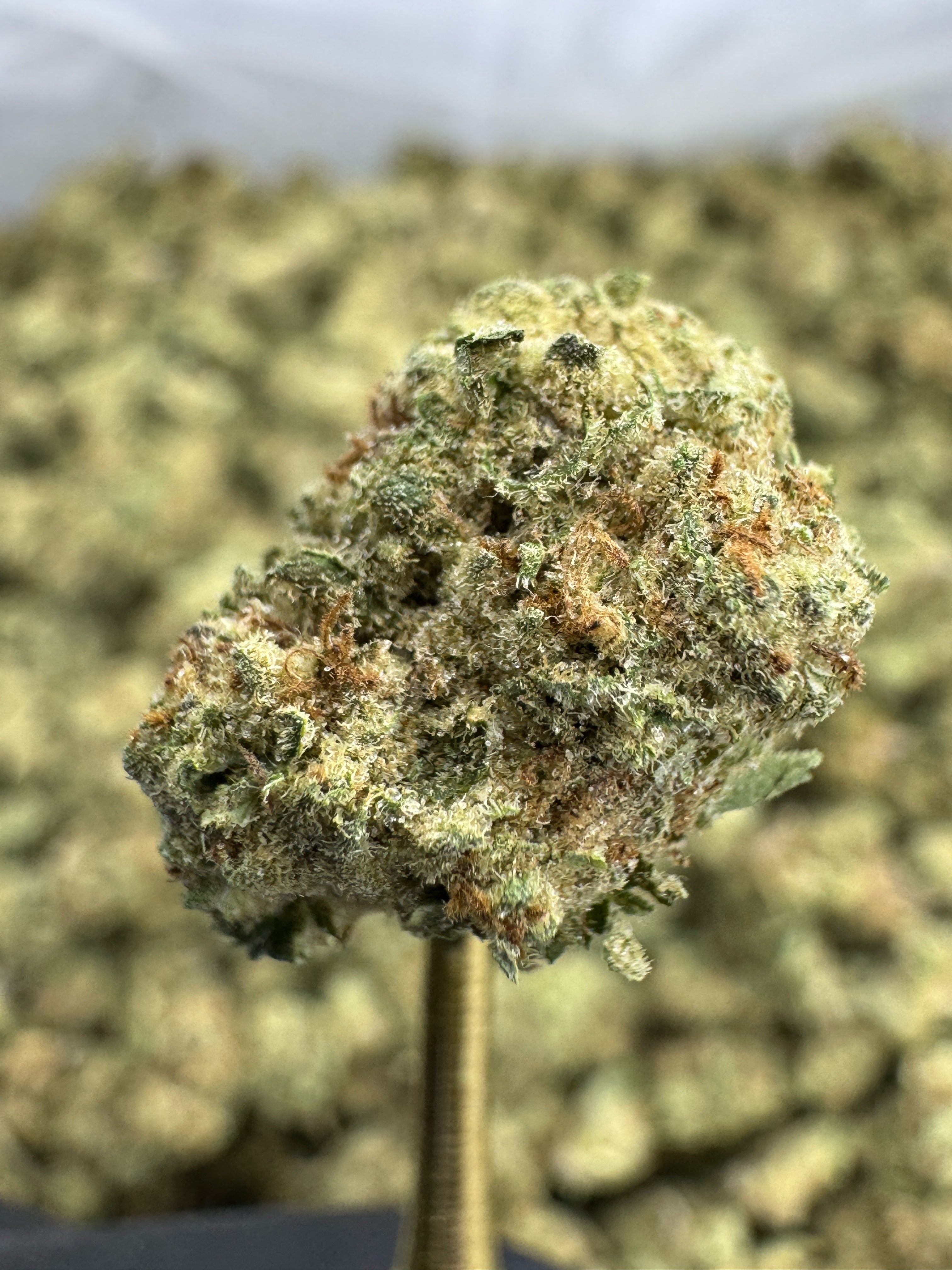 Blueberry Muffin Smalls