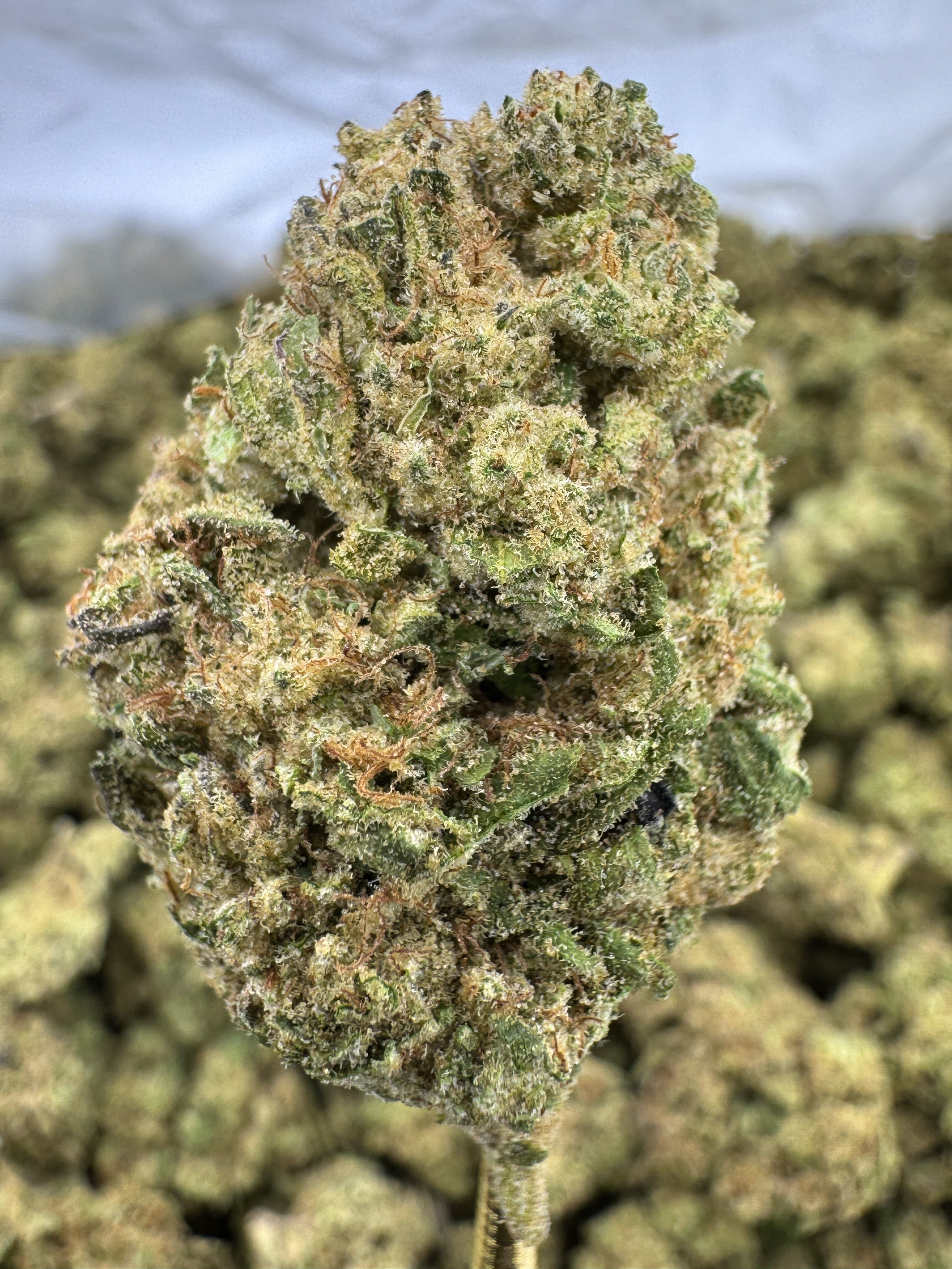 Permanent Marker Sygil Select