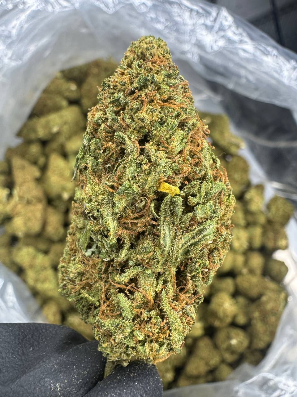 Sour Lifter Cbd Flower