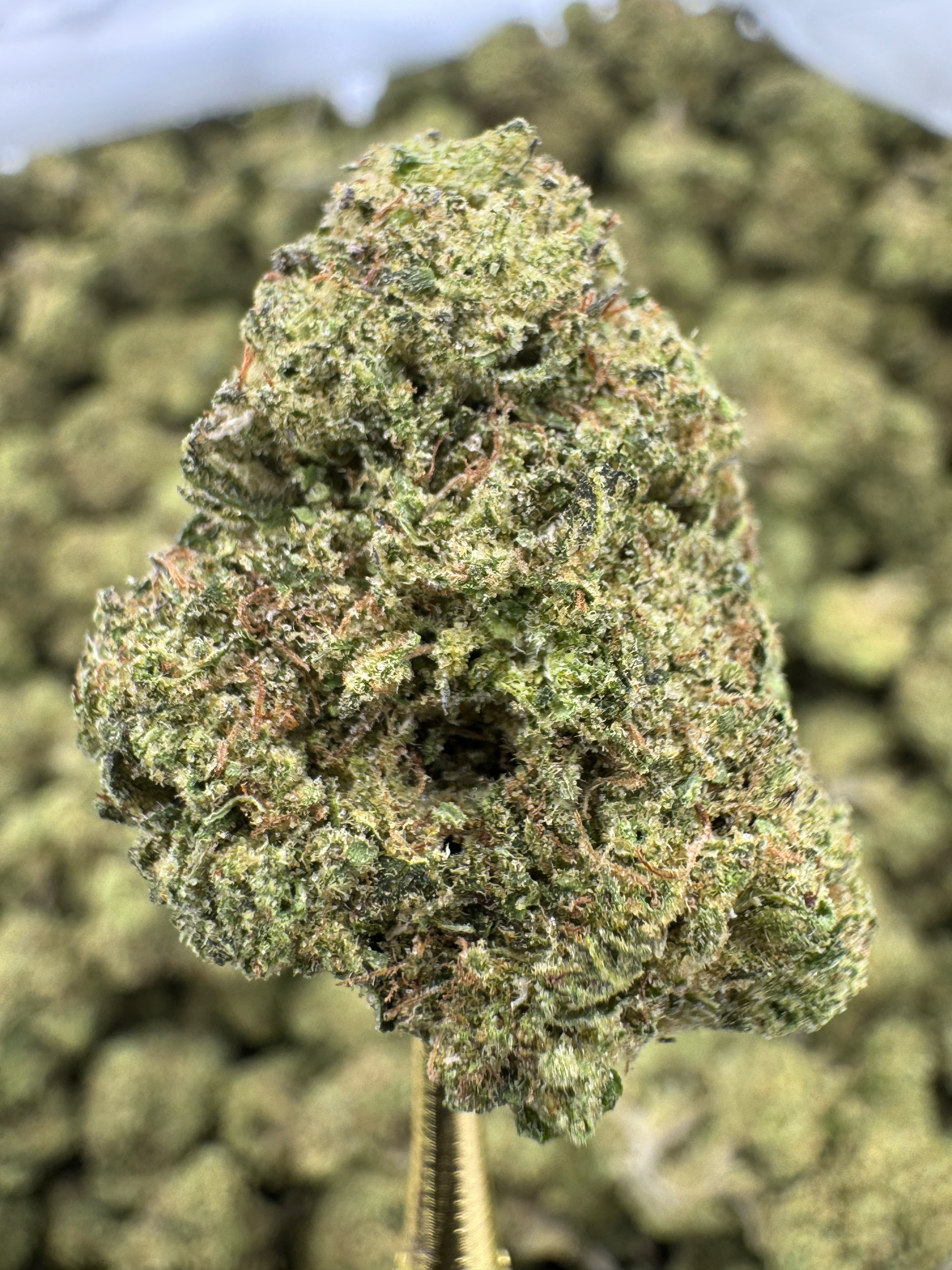 Black Amber Sygil Select