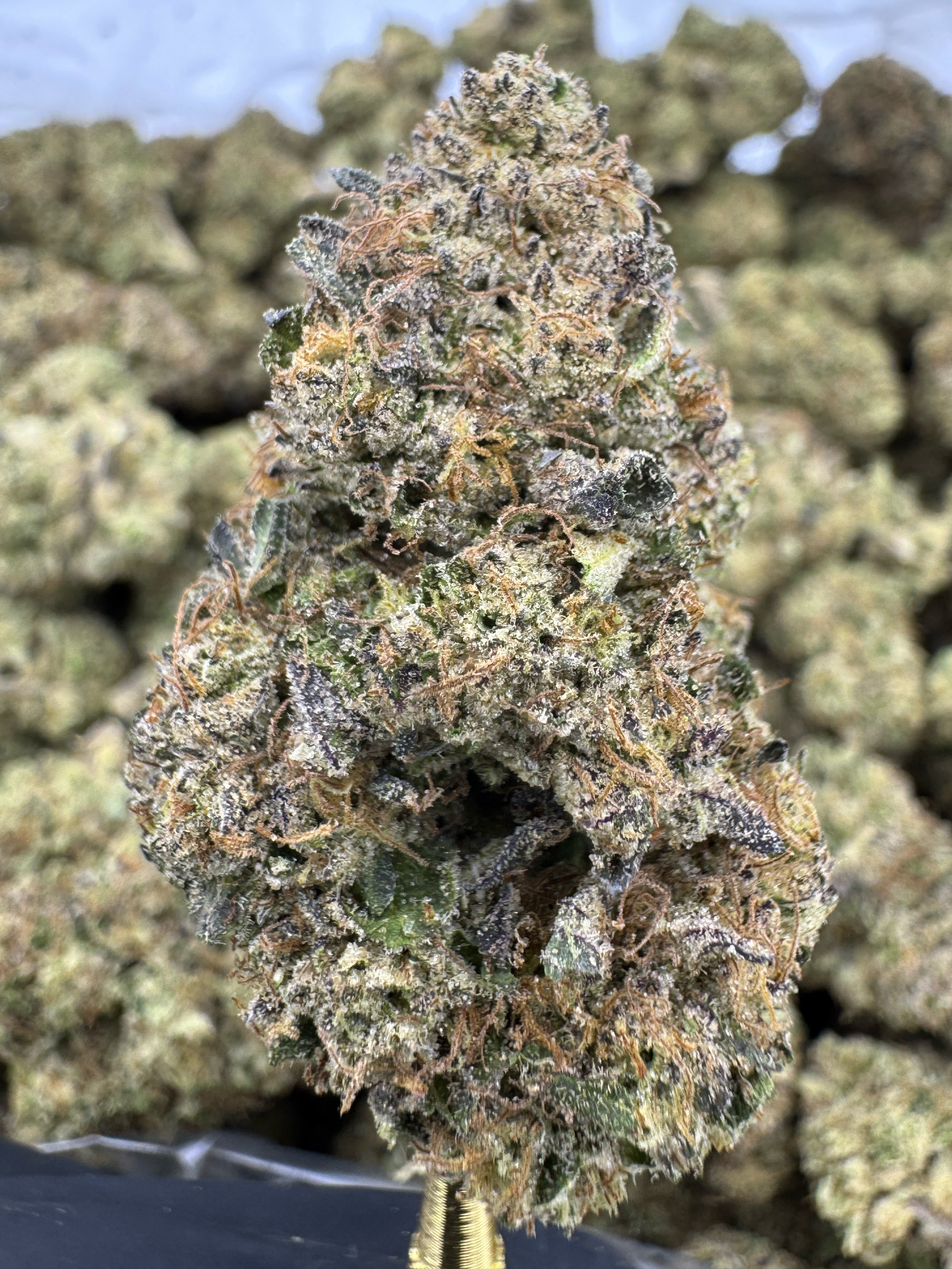 Glitterbomb Sygil Crown