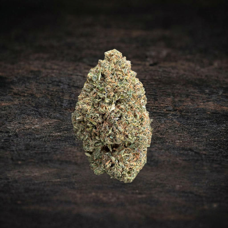 Lemon Octane indica CBD flower bud by SYGIL House