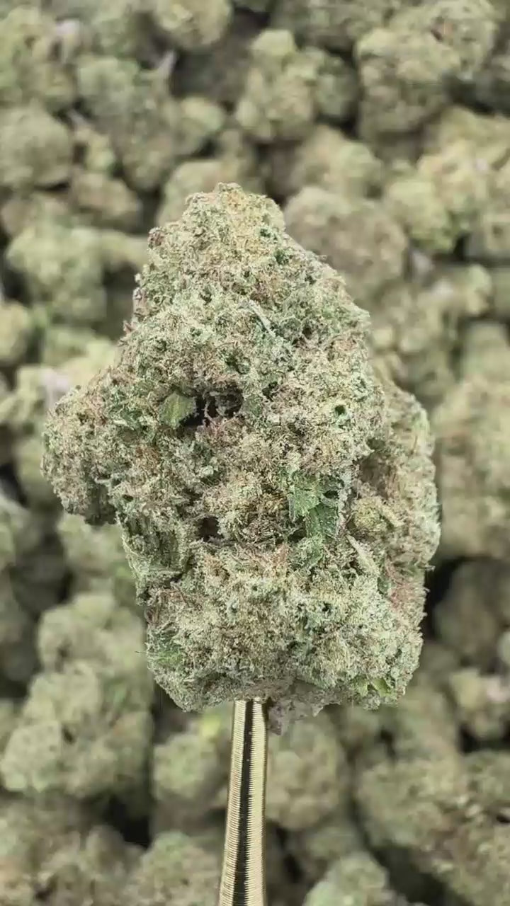 Rainbow Runtz | Sygil Select