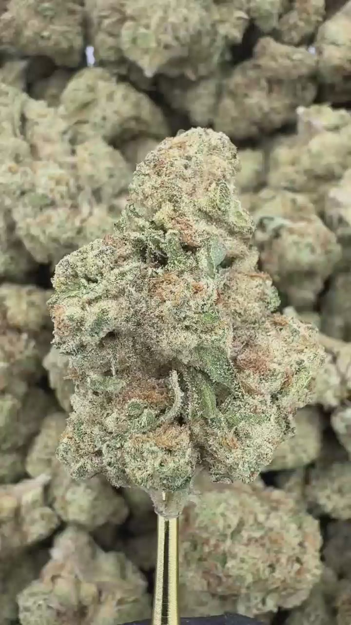 Punch Breath Sygil Select