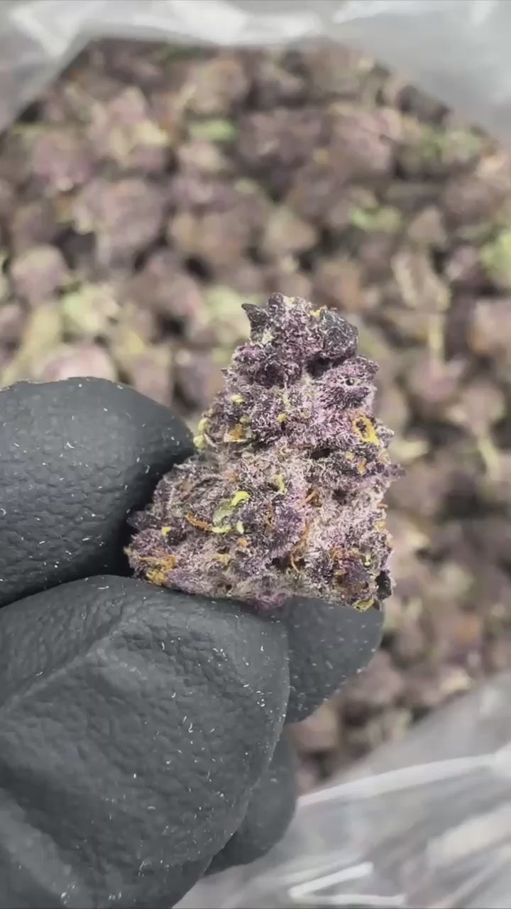 Tropicana Cherry | Smalls